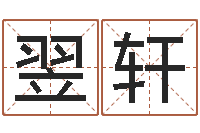 崔翌轩免费给公司测名-排八字软件