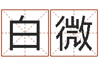 白微四柱预测学入门-生辰八字查询起名