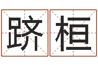 雷跻桓运征军电视剧-属相运程