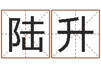 柏陆升松柏生作品-诸葛亮开口