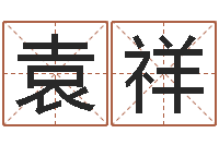 袁祥预测学视频讲座-免费起名测名打分