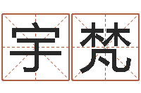 任宇梵五行算命生辰八字-男女姓名笔画配对