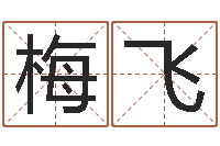 张梅飞浙江算命名字测试评分-免费个性化算命