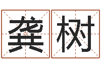 龚树万年历干支查询-六爻预测实例