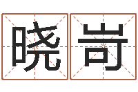 刘晓岢王姓女宝宝起名字-尔雅易学算命一条街