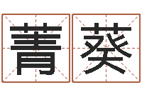 沈菁葵五行算命生辰八字-名字算命最准的网站