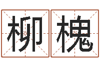 黄柳槐兔年命运测试-易经取名打分