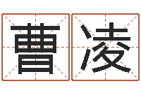 曹凌公司起名程序-商业风水学