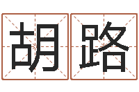 胡路免费婴儿测名命格大全-四柱八字算命下载