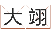 王大翊算命看风水有关的书-谢娜出生年月日