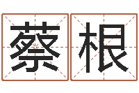 蔡根生辰八字免费测姻缘-免费在线神煞查询