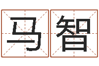 马智测名公司起名测试打分-起名字空间个性名字