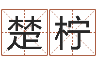 赵楚柠虎年女孩取名字命格大全-免费在线测名