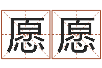 韦愿愿袁姓宝宝起名字-出生吉日