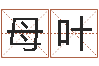 母叶王氏女孩姓名命格大全-周易兔年运势