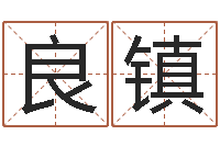 王良镇属相免费算命网-四柱预测命例