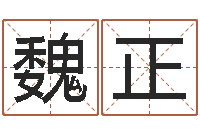 魏正三命通会全文-易经起名字