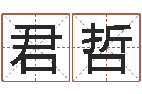 王君哲免费测生辰八字-建筑风水