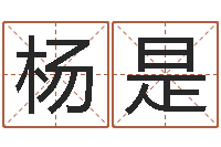 杨是四柱预测下载-东方周易免费算命网