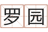 罗园网络因果人物起名字-起名专家