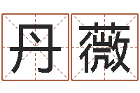 游丹薇周易风水解密-给鼠宝宝取名字姓黄