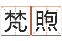 卢梵煦庚申年生石榴木命-八字算命学习