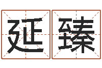 苏延臻公司取名预测-d预测