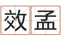 石效孟童子命年吉日表-大话3房子风水