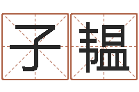 赵子韫八字算命准的专家序列号-新浪测试