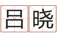 吕晓预测示例-年属羊运程