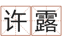 许露周易天地八字排盘-手工折纸