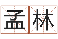 熊孟林室内风水学-八字论坛