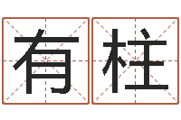 陆有柱名人生辰八字-邵长文免费算八字软件