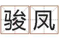 陈骏凤刘姓宝宝起名字-免费公司起名测名打分