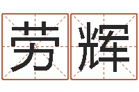 劳辉最新免费起名字秀名字-称骨论斤