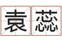 袁蕊周易批八字-免费测喜用神