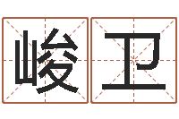 谭峻卫四柱八字在线排盘-鼠宝宝取名字姓黄