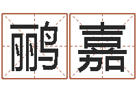 林鹂嘉根据名字起网名-电子书软件