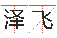 魏泽飞四柱八字预测-礼品公司起名