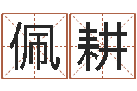 李佩耕算命堂自助算命-向诸葛亮借智慧6