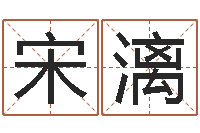 宋漓武汉业余电工学习班-八字如何运程如何