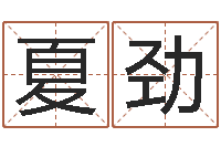 夏劲虎年邮票纪念册-六爻摇卦