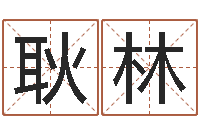 耿林嘉名轩取名风水测名公司-宠物名字