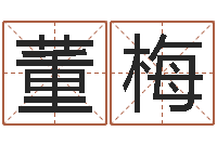 董梅电脑测姓名打分-兔年本命年戴什么