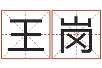 王岗木命土命-易经测名数据大全培训班