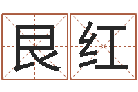 胡艮红王氏男孩起名-择日改名软件