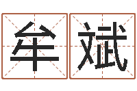 牟斌装饰公司取名-童子命我要结婚