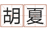 胡夏英文名字命格大全-公司如何取名