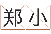 郑小星象仪-生辰八字算命方法