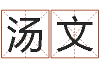 汤文万年历算命属相-新浪测试